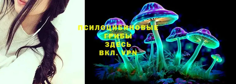 гидра tor  Мосальск  Галлюциногенные грибы Psilocybe 